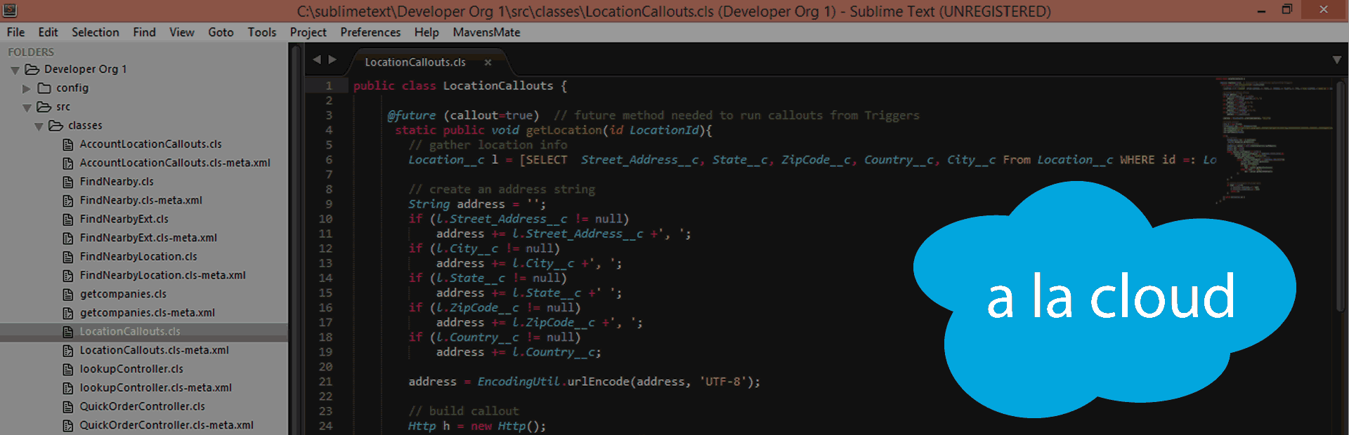 Custom Application Development